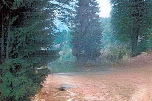 AYDER ŞEHİR GEÇİŞİ VE KAVRAN YAYLA YOLU